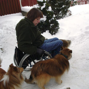Dogs for wheelchair users
